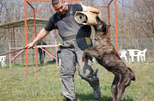 RISLAY des Fonds de Gueule