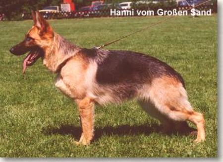 Hannie vom Großen Sand