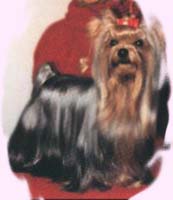 INTERCH. Pakside¿s Private Collection