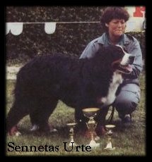 Senetta's Urte