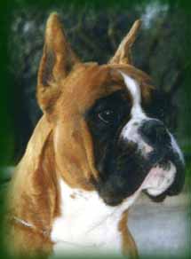 EUJW CH Gaspare di Soragna