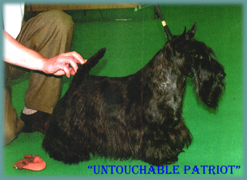 WJW/EW-92,93/INT/ITL Balgair Untouchablepatriot