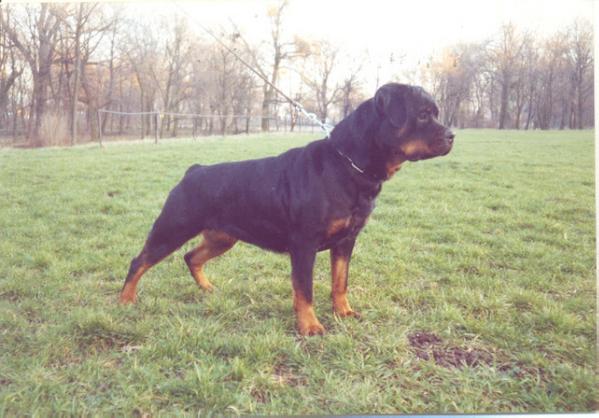 INT/HCH HKS`00`01 Ivett von Hause Sommer