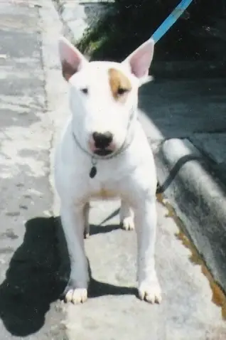 A-Pit