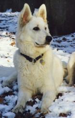 Alyjenco Jessy McMahon