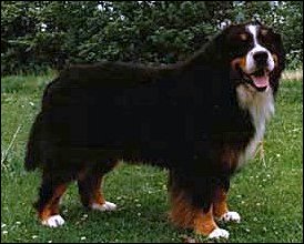 Lad¿s King of the Road