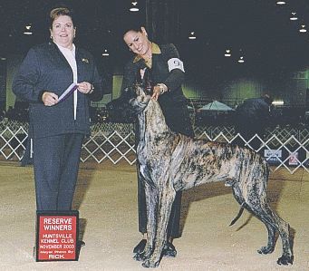 Von Graff's Top Sergent