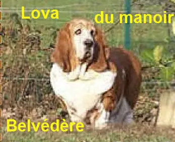 Lova du manoir belvedère