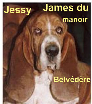 Jessy james du manoir belvedère