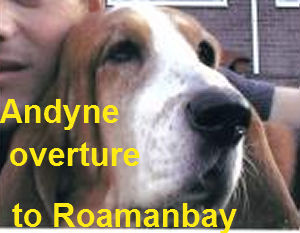 Andyne overture to roamanbay