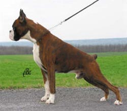 Qrare von Eurozone