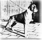 Us-Ranus von der Reiterstadt Verden