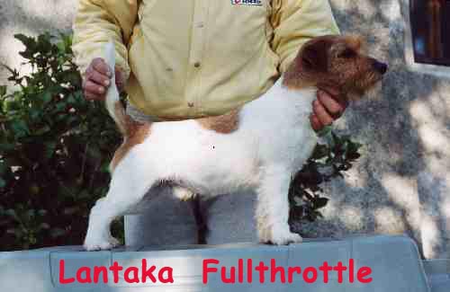 Lantaka Fullthrottle