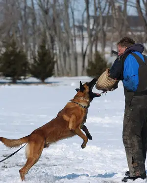 Ricco Airport Hannover