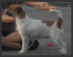 Malung/JR Mannequin