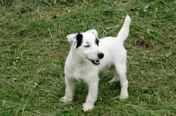 MULTI 1° EXC IN SHOW Casper delle Terre d'Italia