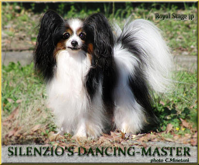 SEUCH Silenzio's Dancing Master