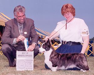 Phi-Vestavia Peter Pan