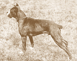 Wotan von Angertor 1900