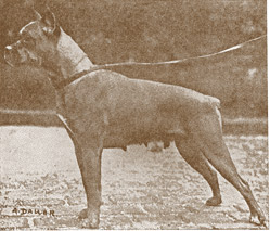Liesel von Deutenkoffen