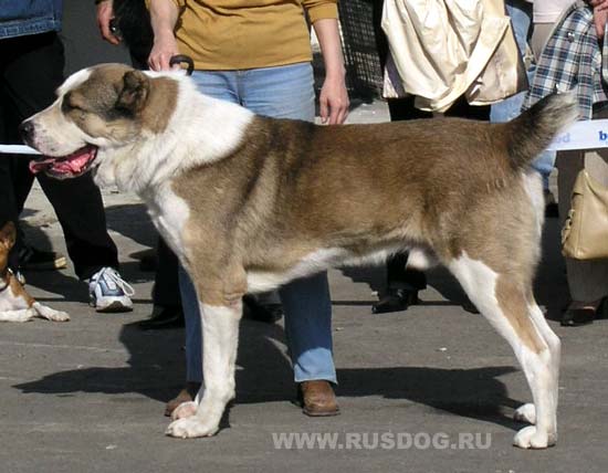 Ortodoks Konvent Varzob