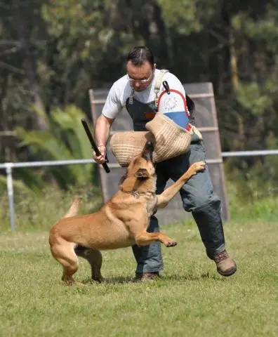 SUBCH IPO CEPPB2012 Quino de Reyero