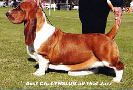 Lynsluv all that jazz