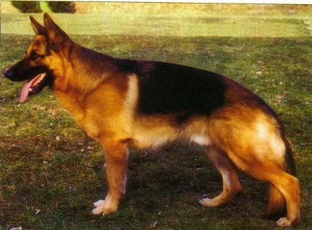 V Matz von der Hechtenbach