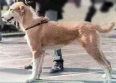 Ekimen 'ow.Solovyeva'