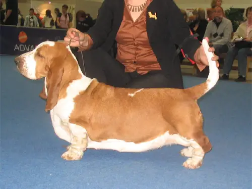 Hopeless just sexy sadie