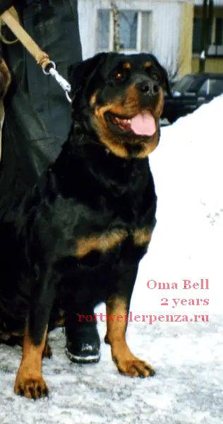 Oma Bell