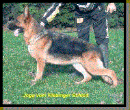 Joga vom Klebinger Schloß