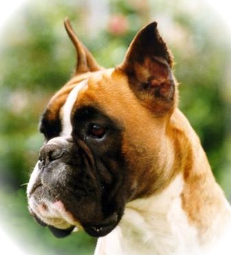 nuit rouge du moulin d'en haut