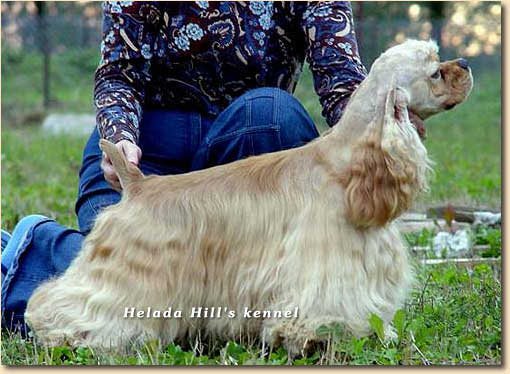 LTJCH-CH,CACIB,2XBOB Helada Hill'S Robin Hood