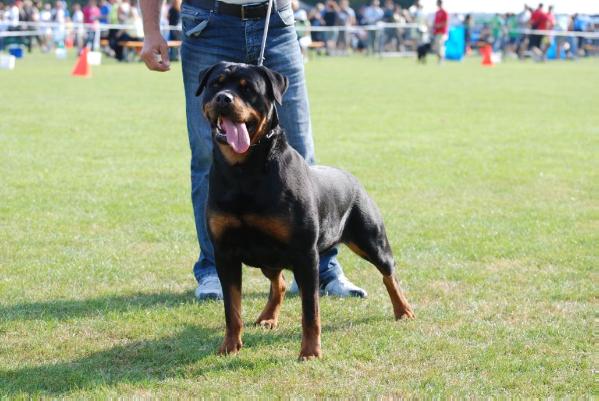 CH (SLO,CRO,AUS,HUN) Angelina Vravalu