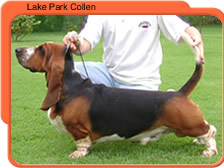 Lake park Collen