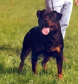 Quinta von Wölpinghausen