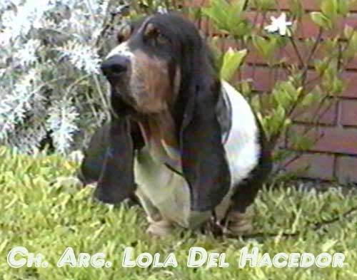 Lola del hacedor