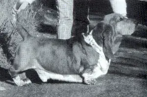 Longbody's Rolls Royce