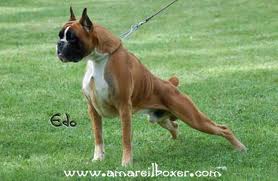 CH Calisto del Colle dell'Infinito