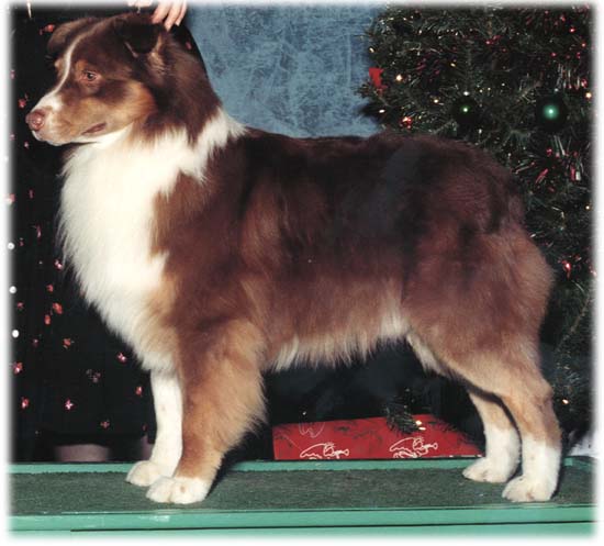 Thornapple Red Knuckles