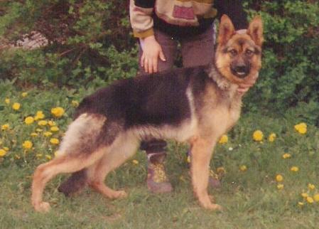 V Tina vom Markt Wernberg