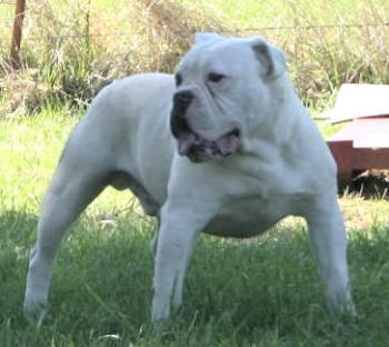 Kings River's Brenner