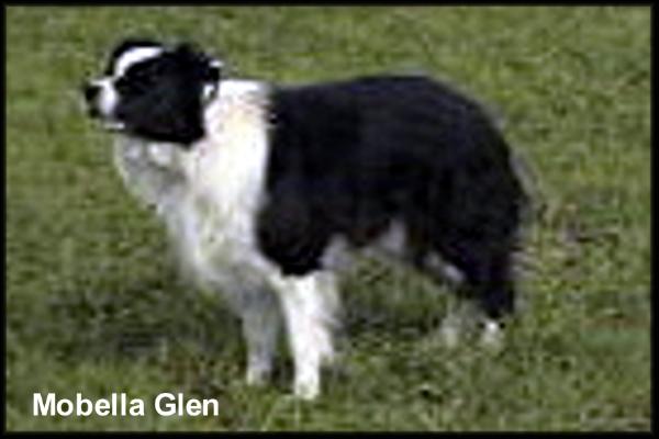 Mobella Glen