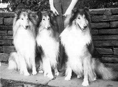 Drum major of Dunsinane