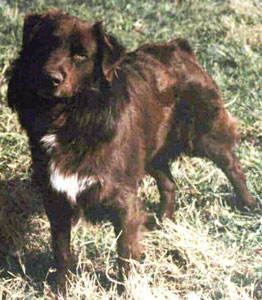 Fairoaks Quinterro
