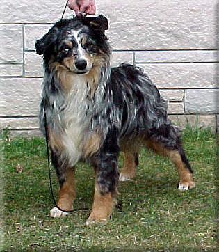 Fairoaks Tavarak