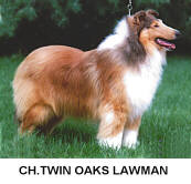 Twin Oaks Lawman
