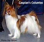 Caspian's Columbo