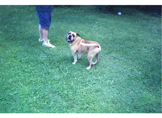 Valley View's Hubba Bubba